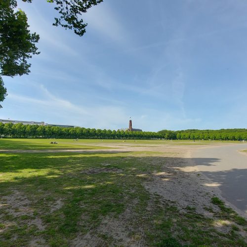 Het Malieveld blijft je verrassen